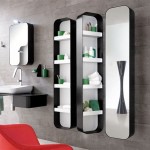 The Versatile Tall Bathroom Mirror Cabinet